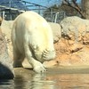 おっさんが風呂に入るときと同じやん(笑)