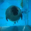 こんな子も近いんです