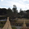 徳川園H30.2