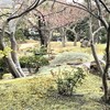 玉峰館の庭
