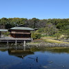 白鳥庭園H30.3.17