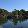 白鳥庭園H30.3.17