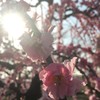お茶室もあります