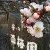ここも良いです