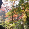 正暦寺にはこんな美しい風景もある