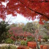 円山公園