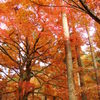 三千院