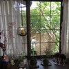 母が窓から眺めた景色