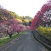 日の出しばらく