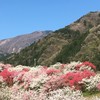 これぞホントの桃源郷！