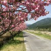 花桃