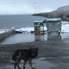 セヴァン湖と守り犬