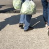 エサ持ちすぎ