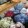 手水鉢に咲く紫陽花