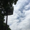 帰りは旗を掲げてお迎えを待ちます