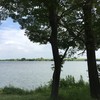 対岸の岐阜はとっても良い感じ