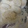 パン粉を付けて・・・