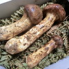 頂いた松茸(この他にも沢山！)