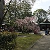 岡崎神社