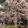 岡崎神社