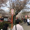 八坂神社・円山公園