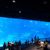 S.E.A. Aquarium