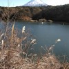 精進湖から望む富士山です。