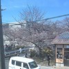 2階お座敷から