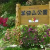 つつじの名所茶臼山公園です