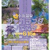 ジャガランダフェスタ開催