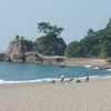 桂浜