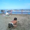 空も海も青いです
