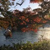 池と紅葉