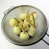 今年、２回目のくわいの皮むき