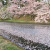 水面が花びらで～