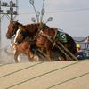 ばんえい競馬場のレース