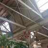 ⑭のこぎり屋根の天井
