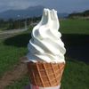 牧家（ぼっか）のソフトクリームです。