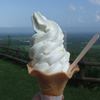 はちみつソフトクリームです。
