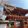 随神門と桜