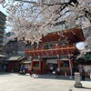 随神門裏側と桜