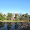 本丸から望む岩木山