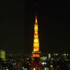 夜はダメダメ！