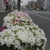 県道川崎町田線のツツジ