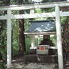 鳥居も白い白龍神社