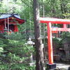 静かな森の中にある九頭龍神社