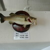記念館のブラックバス剥製