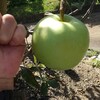 とてつもなく大きい世界一です。