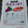 世界一専用にブドウ用の袋を用意しました。