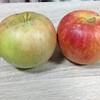 収穫した「祝(いわい）」とシナノレッド。